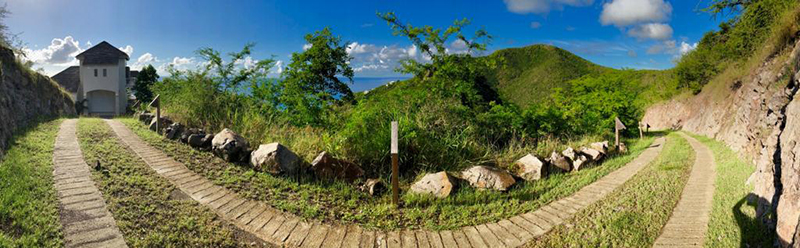 Driveway to Paradise